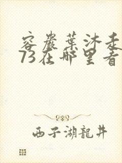 容岩叶沐走着做73在哪里看