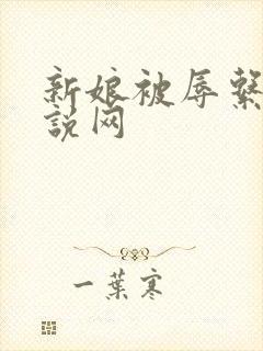 新娘被辱系列小说网