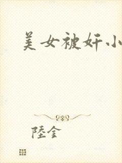 美女被奸小说