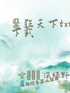医狂天下txt下载