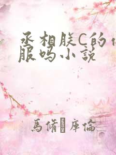 丞相朕C的你舒服吗小说