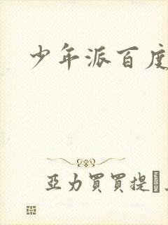 少年派百度百科