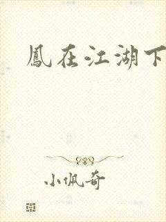 凤在江湖下载