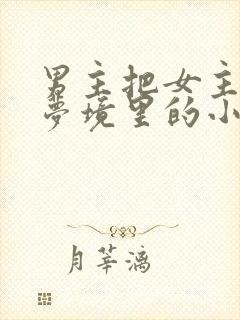 男主把女主拖进梦境里的小说