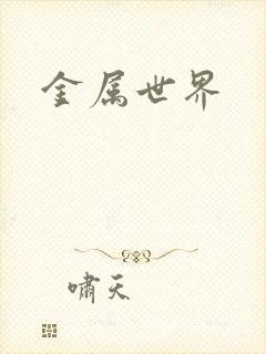 金属世界