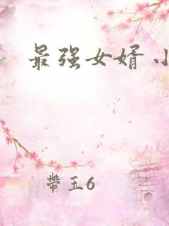最强女婿 小说
