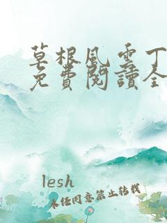 草根风云丁长生免费阅读全本