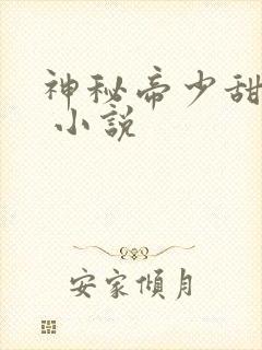 神秘帝少甜宠妻 小说