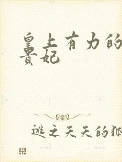 皇上有力的撞着贵妃