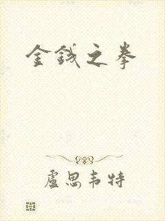 金钱之拳