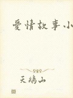 爱情故事小说