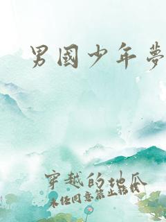 男国少年梦下载