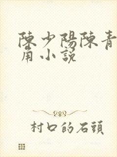 陈少阳陈青帝主角小说