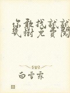 你敢找试试BY几树免费阅读