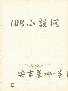 108小说网