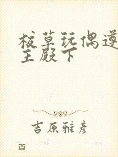 校草玩偶遵命公主殿下