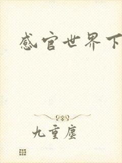 感官世界下载