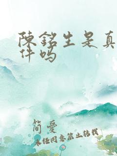 陈铭生是真实事件吗