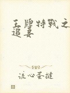 王牌特战之军少追妻