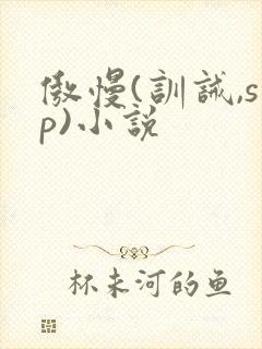 傲慢(训诫,sp)小说