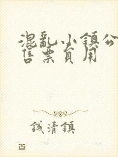 混乱小镇公交车售票员用