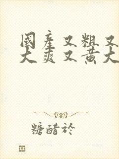 国产又粗又猛又大爽又黄大爷