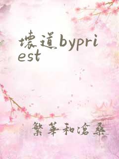 坏道bypriest
