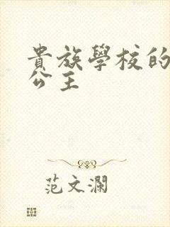 贵族学校的双面公主