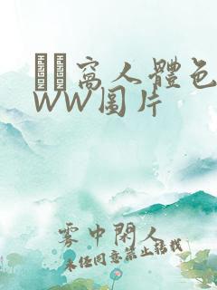 妺妺窝人体色WWW图片