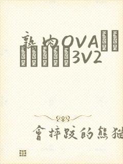 熟肉OVAちゃんはしたい3V2