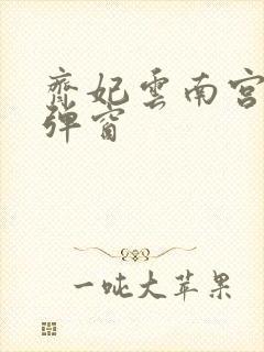 齐妃云南宫夜无弹窗