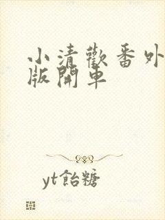 小清欢番外完整版开车