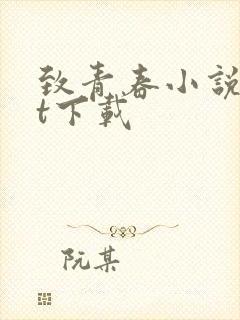 致青春小说txt下载