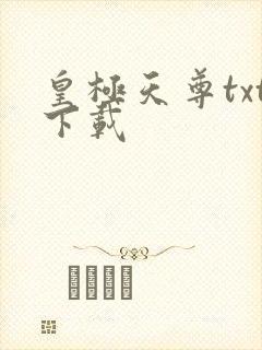 皇极天尊txt下载