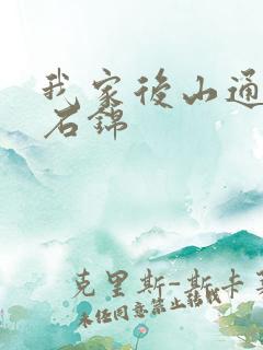 我家后山通仙界石锦