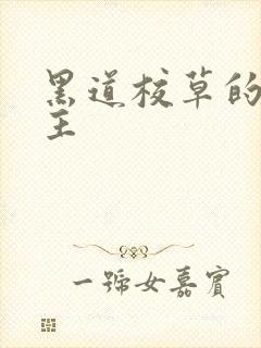 黑道校草的冷公主
