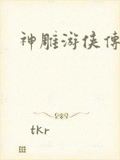 神雕游侠传
