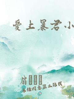 爱上暴君小甜心