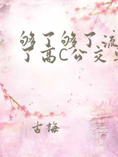 够了够了流出来了高C公交车