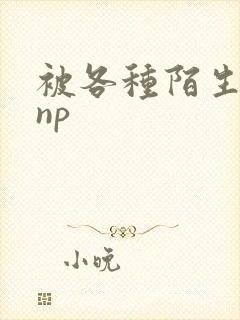 被各种陌生人 np