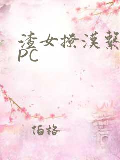 渣女撩汉系统NPC