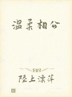 温柔相公