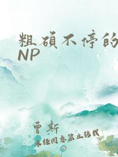 粗硕不停的进出NP