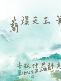 火爆天王 笔趣阁