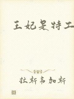王妃是特工