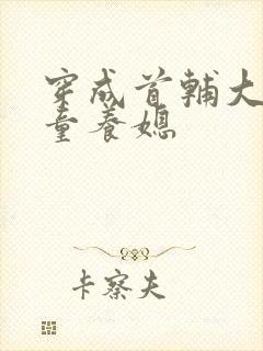 穿成首辅大人的童养媳