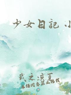 少女日记 小说