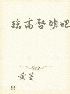 临高启明吧