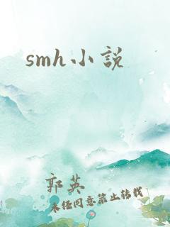 smh小说