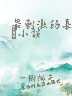 最刺激的长篇乱惀小说